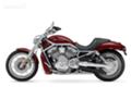 , V-Rod Muscle   Harley-Davidson - Harley-Davidson, , 