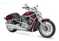 , V-Rod Muscle   Harley-Davidson - Harley-Davidson, , 