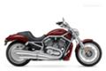 , V-Rod Muscle   Harley-Davidson - Harley-Davidson, , 