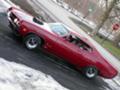 Muscle Cars: Ford Torino - Ford Torino, , 