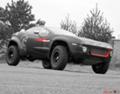   2010 - Rally Fighter   -  , Rally Fighter