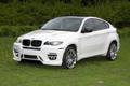   SD F16  BMW X6 - , , BMW X6