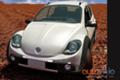 VW Beetle      - Volkswagen, , , 