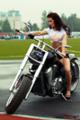 Active Open Air Show Cars 2010 -   - Active Open Air Show Cars 2010, , 